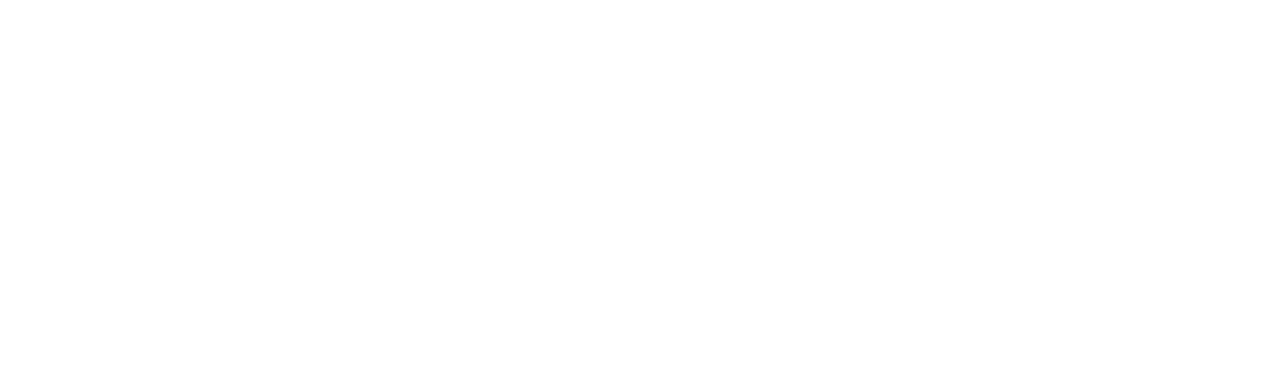 Terzo Indumentaria